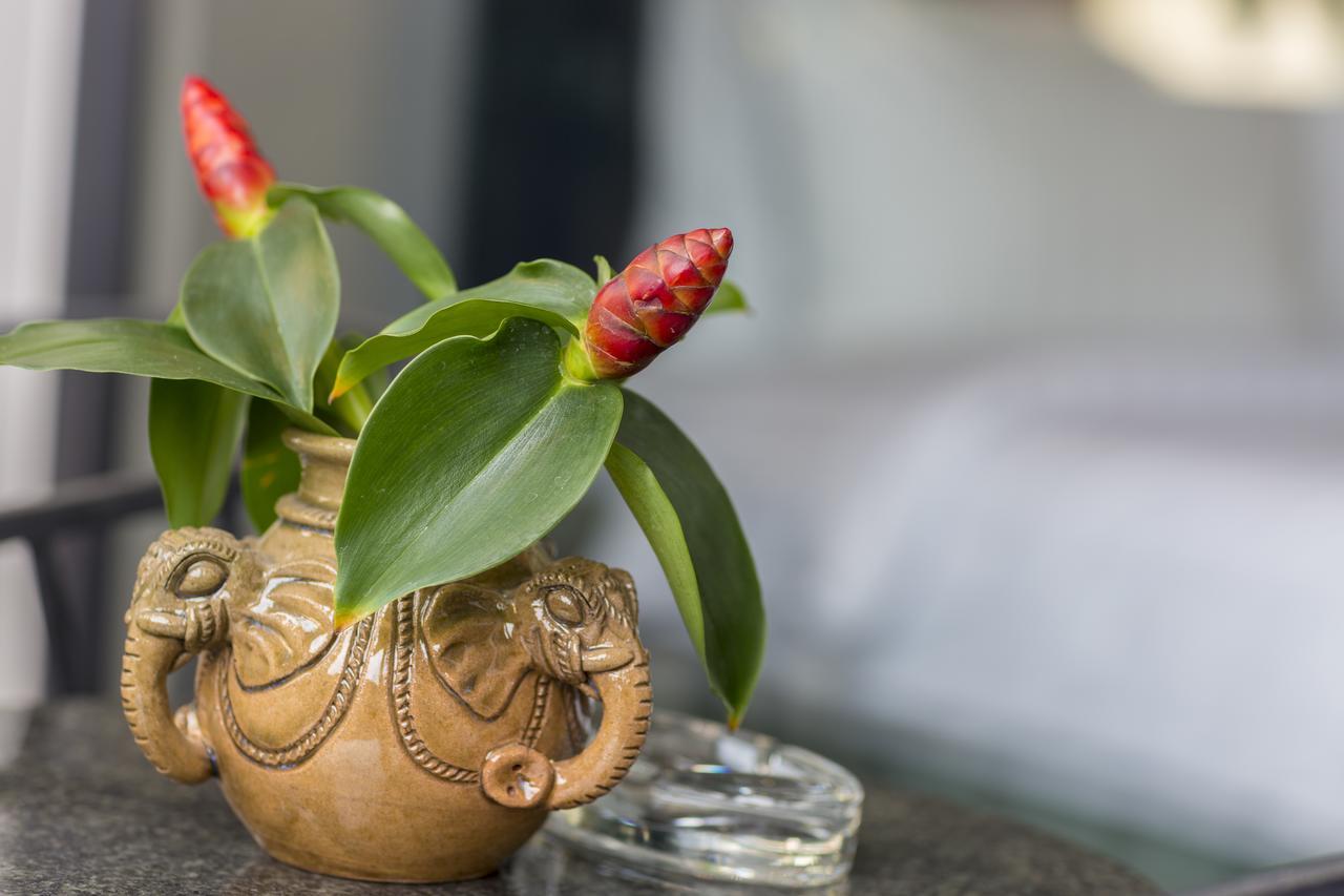 Elia Boutique Hotel Siem Reap Extérieur photo